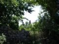 Patrimonio